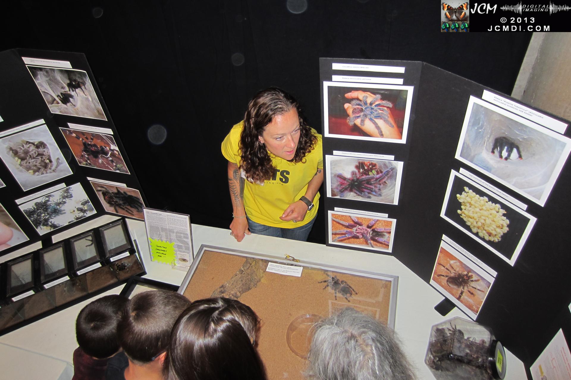 LANHM Bug Fair 2013 crowds and displays